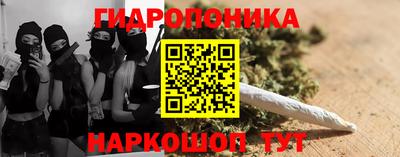 ПСИЛОЦИБИНОВЫЕ ГРИБЫ Лесосибирск