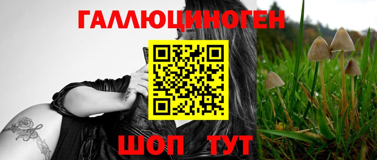 Псилоцибиновые грибы Magic Shrooms  Вход с VPN  Димитровград 