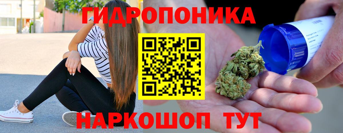 Канабис планчик  Каннабис SATIVA & INDICA  Вход с VPN  Бошки Шишки AK-47  Бошки Шишки семена  Димитровград 